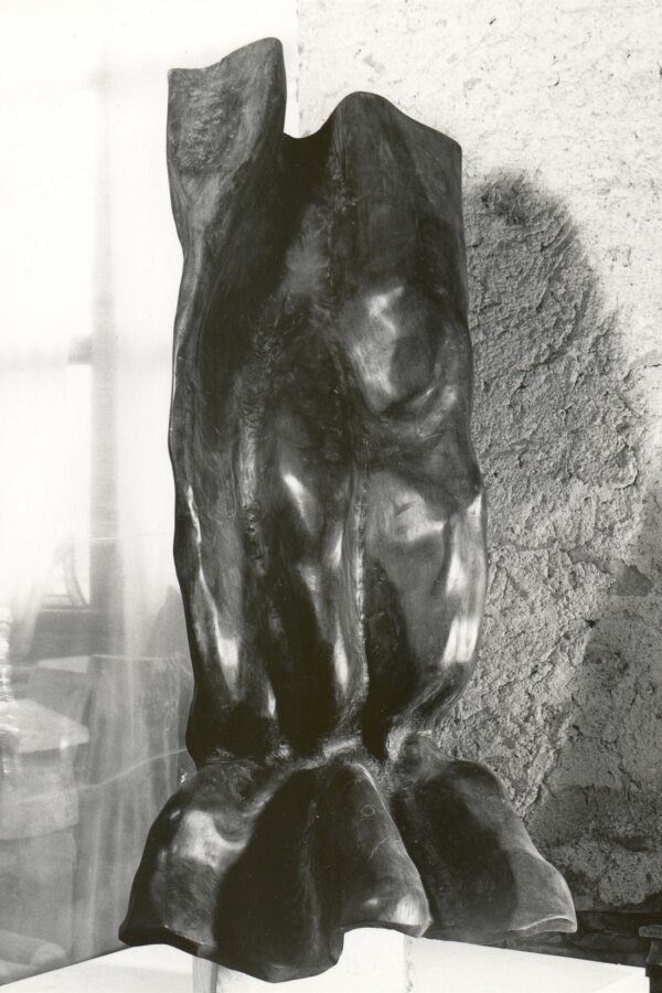 Zdeněk Macháček, Větrná krajina, 1980, foto: Josef Tichý, A. Fiap